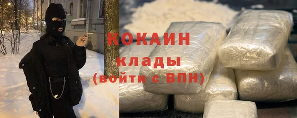 прущие грибы Приозерск