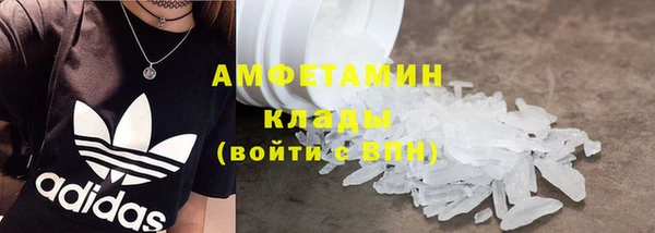 прущие грибы Приозерск
