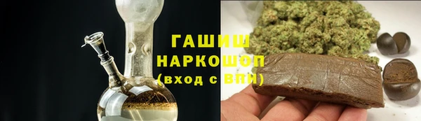 прущие грибы Приозерск