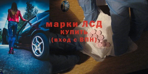 прущие грибы Приозерск