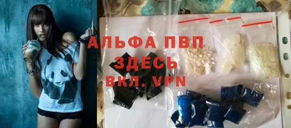прущие грибы Приозерск